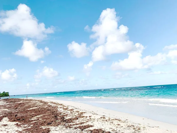 Μια Άποψη Ενός Χαλαρωτικού Beaching Κάτω Από Φωτεινό Γαλάζιο Του — Φωτογραφία Αρχείου