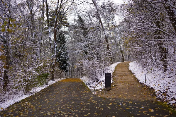 Uma Vista Panorâmica Caminho Parque Coberto Neve Dia Frio Inverno — Fotografia de Stock