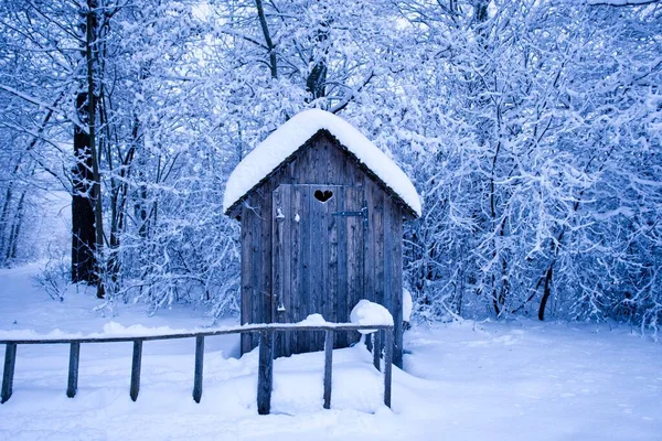 照片上是一个华丽田野里的旧外屋 背景是冬季森林 — 图库照片