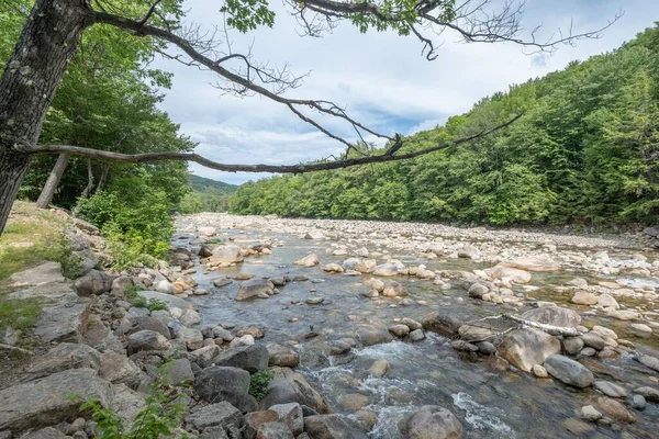 森の中の石を流れる小川の美しい景色 — ストック写真