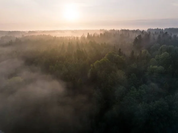 Uma Vista Aérea Uma Floresta Nebulosa Campo Durante Nascer Sol — Fotografia de Stock