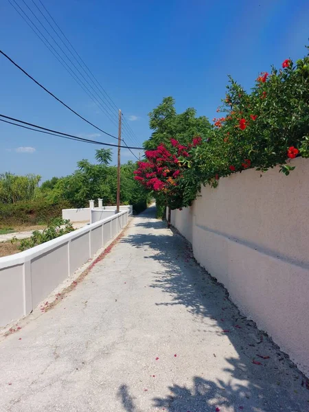Ένας Πλακόστρωτος Δρόμος Και Μοβ Λουλούδια Διακοσμούν Παλιούς Τοίχους — Φωτογραφία Αρχείου