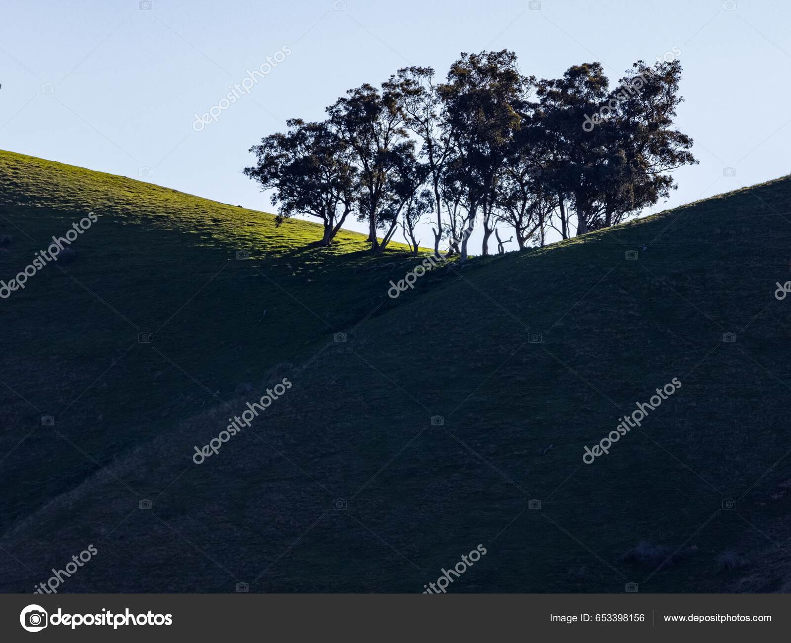 Podsvícené Siluety Stromů Rozsedlině Zeleného Hřebene Kopce Nízkým  Slunečním Světlem — Stock Fotografie © wirestock_creators #653398156