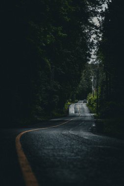 Yoğun ağaç arazisi arasındaki asfalt otoyolun dikey görüntüsü.