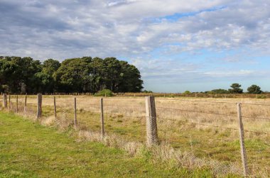 Güney Afrika 'da ahşap çitli boş bir arazinin geniş bir görüntüsü..