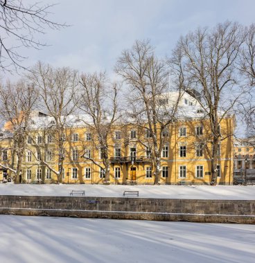 Finlandiya 'nın Turku kentinde kış boyunca donmuş bir nehrin soğuk manzarası