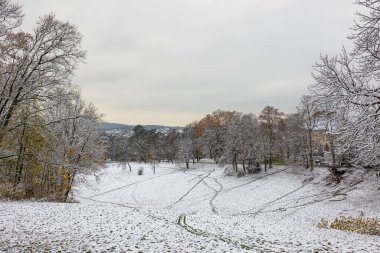 Soğuk bir kış gününde karla kaplı parkın manzarası.
