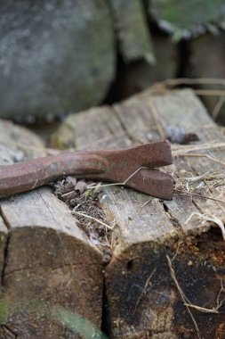 Ahşap bir kütükte paslı bir kedi pençesi aletinin dikey görüntüsü.