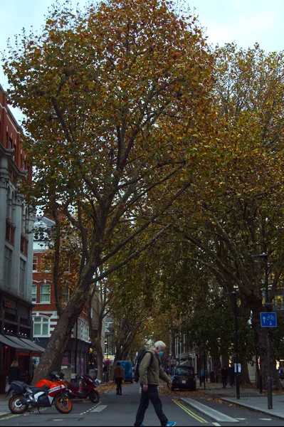 Pionowe Ujęcie Staruszka Mijającego Drogę Jesiennymi Drzewami Tle Tottenham Court — Zdjęcie stockowe