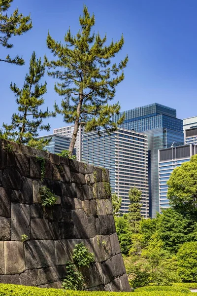 東京の中心部にある新しい建物の垂直ショット 正面に公園がある日本 — ストック写真