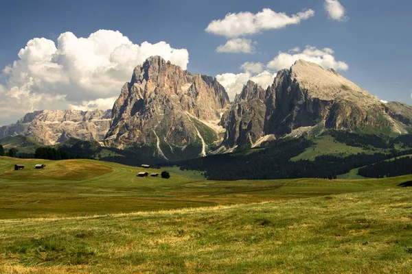 Seiser Alm Alpine Äng Med Grumlig Blå Himmel Bakgrunden Italien — Stockfoto