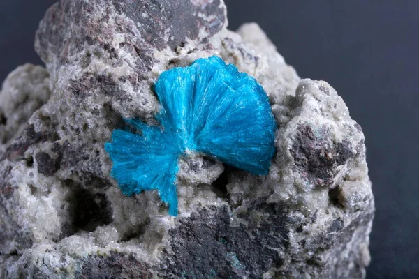 Macro View Sample Pure Blue Cavansite Mineral — Stock Photo, Image