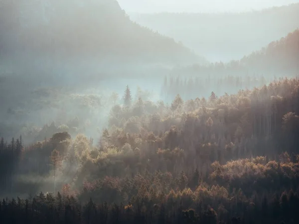 霧に包まれた天気の森の山々の美しいショット — ストック写真