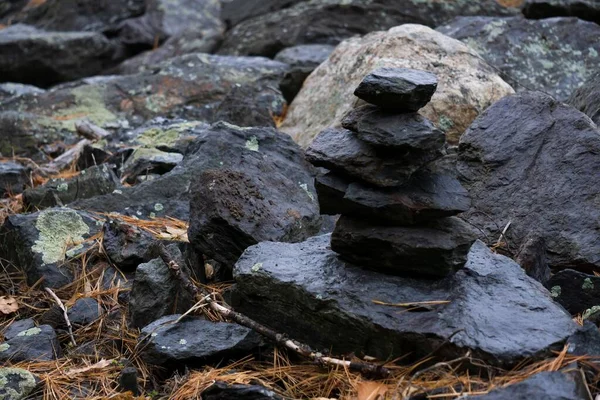 Een Close Van Verticaal Gestapelde Zwarte Stenen Met Natte Dennennaalden — Stockfoto