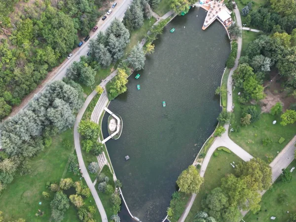环绕着公园绿树的池塘的鸟瞰图 — 图库照片