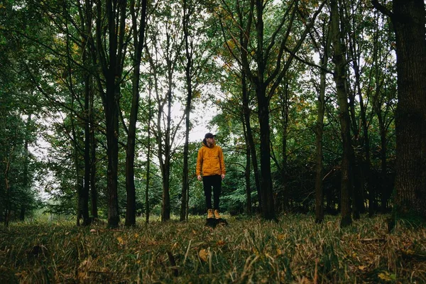 秋の森を歩くオレンジのジャケットを着たハイカーの背中の景色 — ストック写真