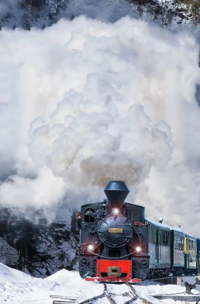 Mocanita Steam Train Romania Cold Winter Day Snow Smoke — Stock Photo, Image