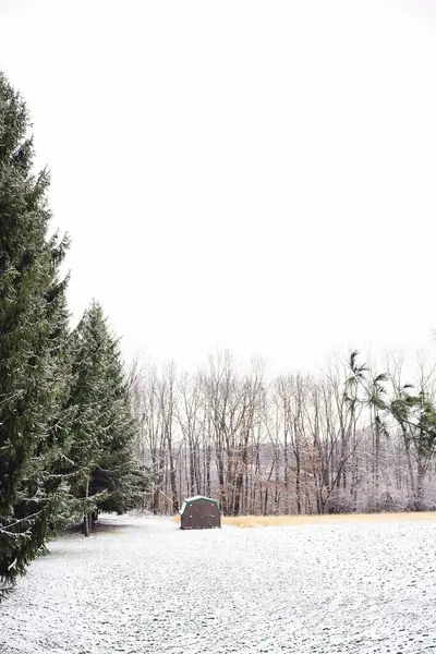 Ένα Μικρό Σπίτι Ένα Χιονισμένο Χωράφι Που Περιβάλλεται Από Δέντρα — Φωτογραφία Αρχείου