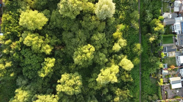 Вид Воздуха Яркие Зеленые Деревья Рядом Домами — стоковое фото