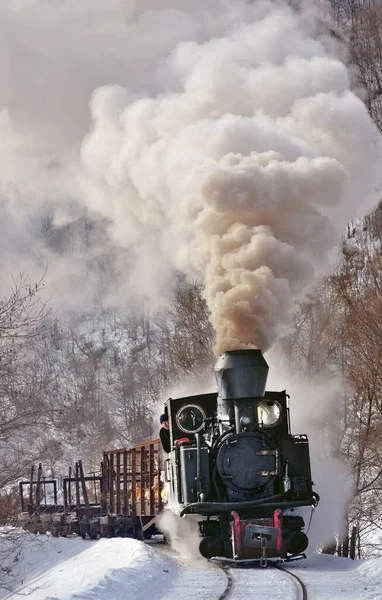 Mocanita Steam Train Narrow Gauge Snowy Railroad Thivk Smoke Sky — Stock Photo, Image