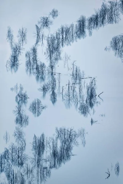 Letecký Pohled Tvarovaný Obrazec Vytvořený Ponořenými Mrtvými Stromy Jezeře — Stock fotografie