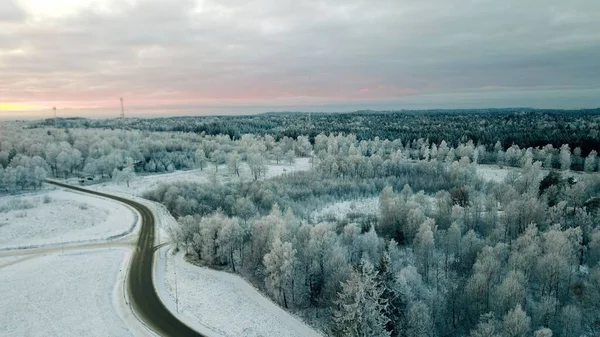 Drohnenaufnahmen Von Bewaldeten Feldern Mit Schneebedeckten Bäumen Bei Sonnenuntergang — Stockfoto