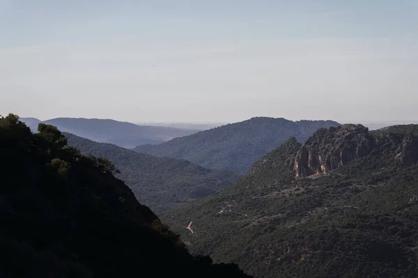 Antena Pięknego Lasu Pobliżu Gór — Zdjęcie stockowe