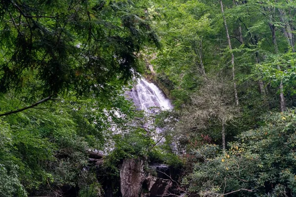 Una Piccola Cascata Rocce Immerse Nel Verde Una Foresta Alla — Foto Stock