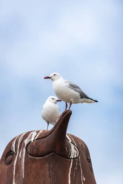 Vertical Shot Two Seagulls Standing Rusty Bird Statue Sky — Stock Photo, Image