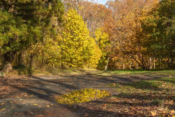 Der Stadtpark Cylburn Arboretum Einem Sonnigen Herbsttag Mit Blauem Himmel — Stockfoto