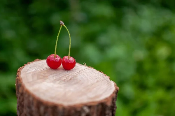Shallow Focus Shot Washed Ripe Cherries Small Stump Garden Blur — Stock Photo, Image