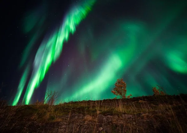 Északi Fények Alacsony Szögű Kilátása Éjszakai Égbolton — Stock Fotó