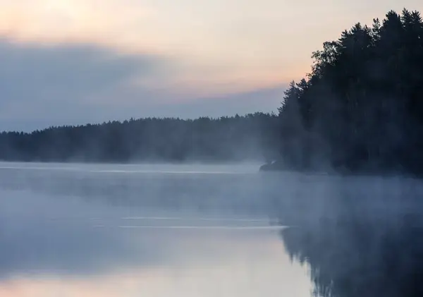 Мальовничий Вид Спокійне Озеро Ліс Під Час Туманного Ранку — стокове фото