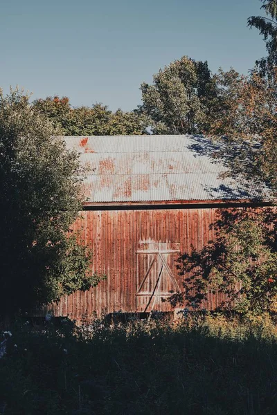 青い空に植生に囲まれた文化的な家の垂直ショット — ストック写真