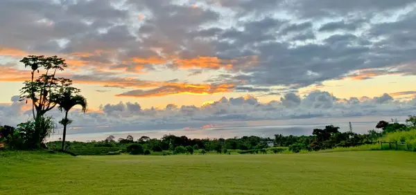 Живописный Панорамный Вид Луг Красочным Восходом Солнца — стоковое фото