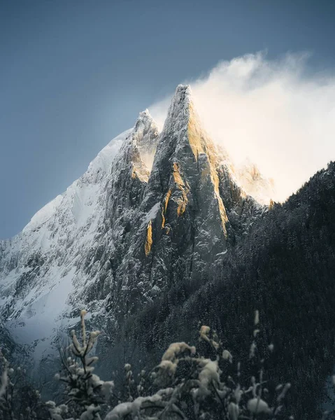 一张覆盖着浓雾的令人叹为观止的雪山的垂直照片 — 图库照片