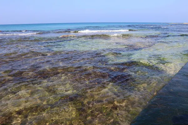 Spokojna Czysta Woda Morska Kamieniami Wodorostami Acre Izrael — Zdjęcie stockowe