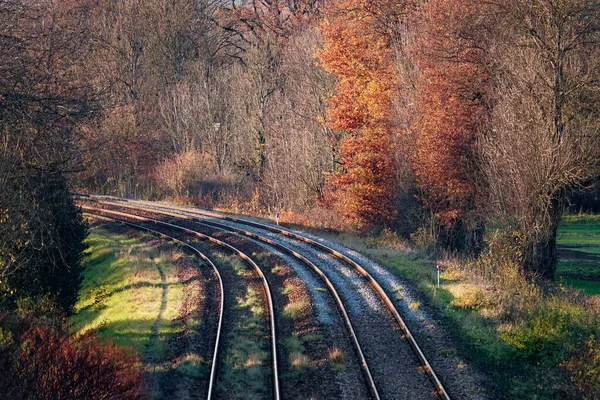 Σιδηροδρομικές Γραμμές Που Περιβάλλονται Από Φθινοπωρινά Δέντρα — Φωτογραφία Αρχείου