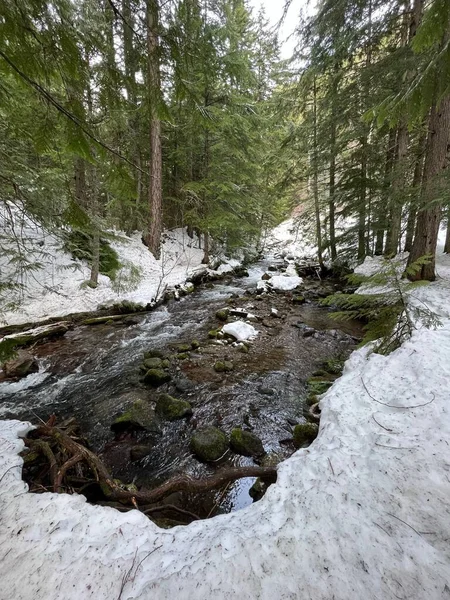 Disparo Vertical Río Que Fluye Través Del Bosque Con Nieve —  Fotos de Stock