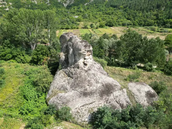 Ormanda büyük bir kaya oluşumu.