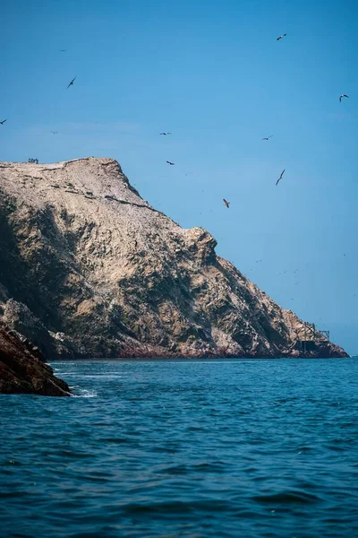 Tiro Vertical Pájaros Volando Sobre Mar Junto Acantilados Las Islas — Foto de Stock