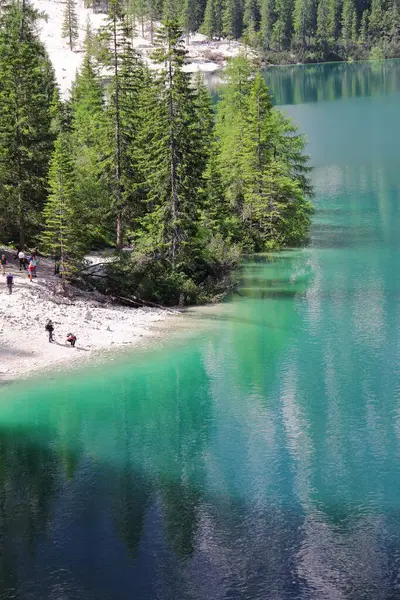 Pionowe Ujęcie Jeziora Prags Otoczone Górami Leśnymi — Zdjęcie stockowe