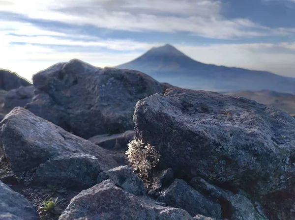 Een Landschap Met Tatra Gerlach Piek Een Zonnige Dag — Stockfoto