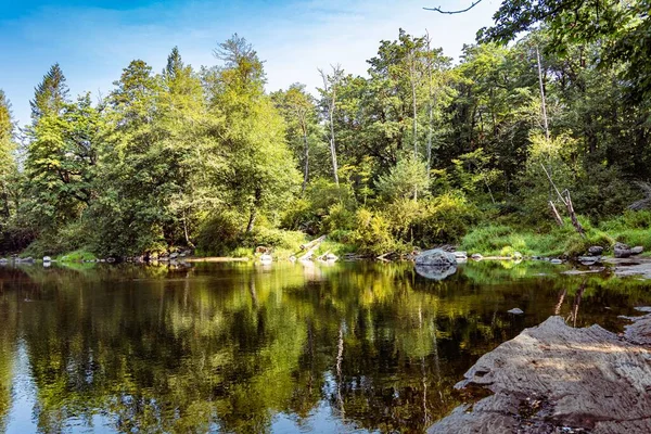 Piękny Widok Las Małe Jezioro — Zdjęcie stockowe