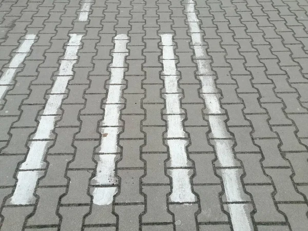 Closeup Shot White Lines Stone Pavement Outdoors — Stock Photo, Image