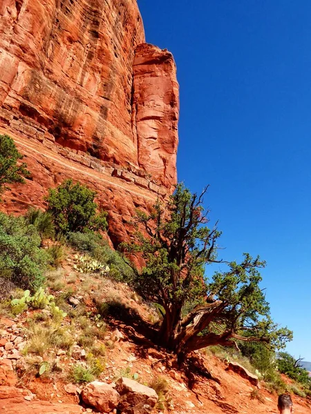 Uma Bela Foto Grand Canyon National Park Dia Ensolarado Verão — Fotografia de Stock