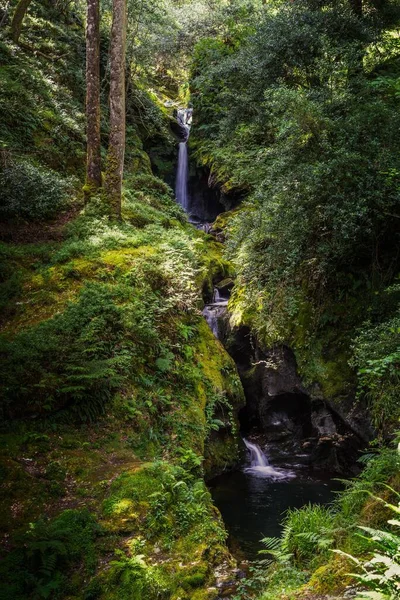 Poulanass Waterfall Long Exposure Glendalough Irlanda — Fotografia de Stock