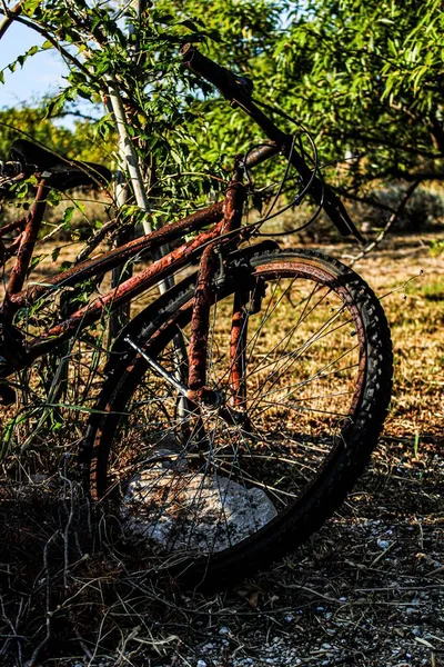 一辆废弃在绿树旁田野里的生锈的旧自行车的垂直镜头 — 图库照片
