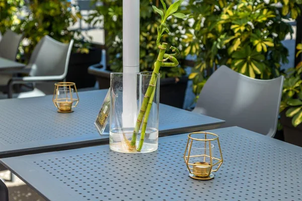 ガラス瓶の緑の植物と地元のカフェで灰色のテーブルの上に置かれた装飾用のろうそく — ストック写真
