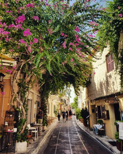 Függőleges Felvétel Egy Szűk Utcáról Kis Épületek Virágok Között Athénban — Stock Fotó